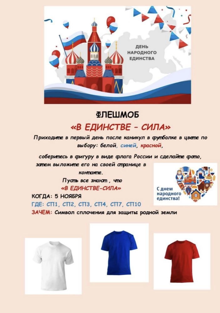 The announcement of the patriotic National Unity Day flash mob at the school where Lyubov’s children study. 