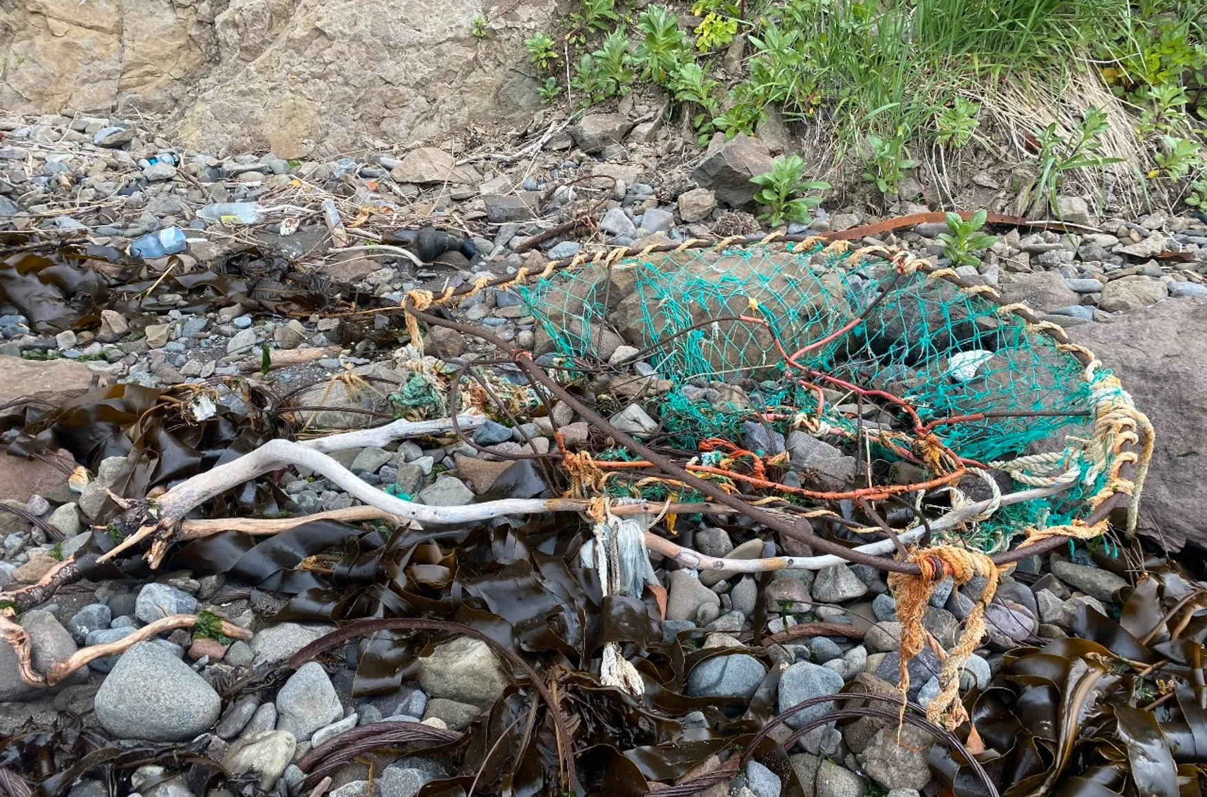 Catch your fish and eat it too: Inside Kamchatka’s poaching empire